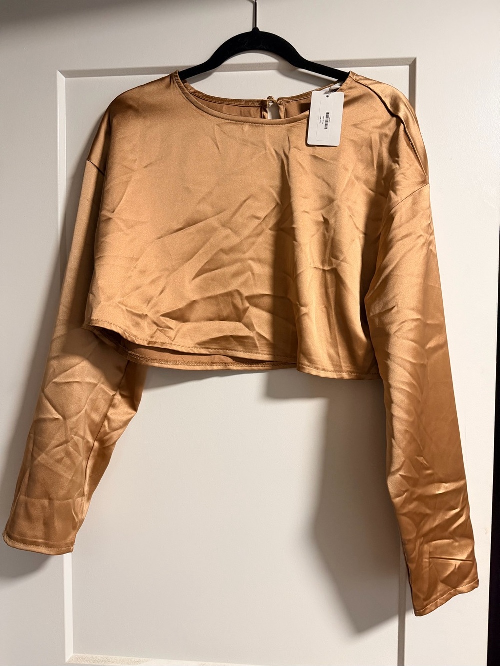 Mable Cropped Long-Sleeve Satin Top in Camel